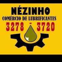 0293 - Nezinho